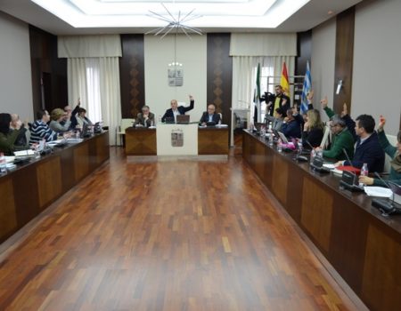 El Pleno aprueba una proposición para conmemorar el Día Internacional de la Mujer