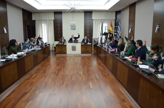 pleno.jpg