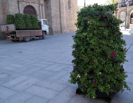 La plaza de España se embellece con catorce jardineras con plantas y flores de temporada