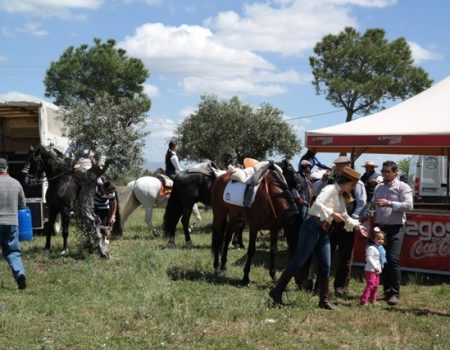 El parque de la ermita de la Aurora acoge la cuarta concentración de caballos