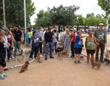 Anima celebro el domingo la II carrera solidaria Canicross