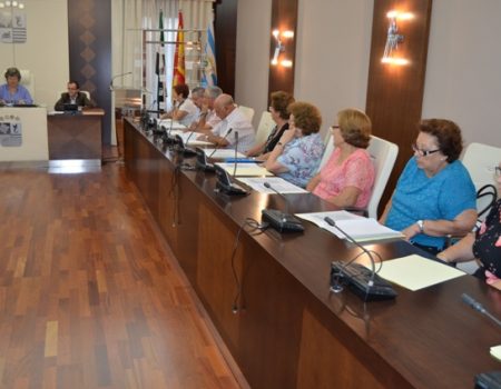 El día 4, se celebra el primer Consejo de Mayores de esta legislatura