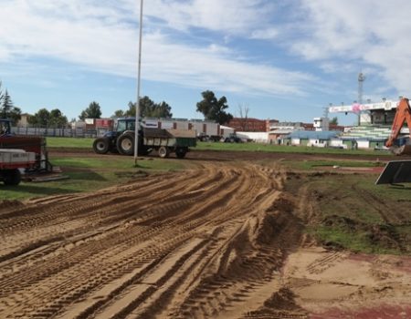 El domingo se estrena el nuevo césped del Romero Cuerda