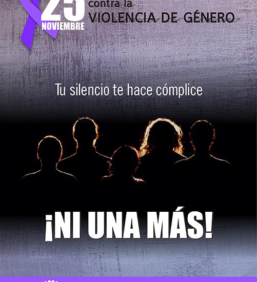 CARTEL VIOLENCIA GÉNERO 2015_mini.jpg