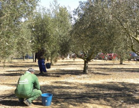 El Consejo Agrario Municipal estudia asuntos de interés del sector agroganadero