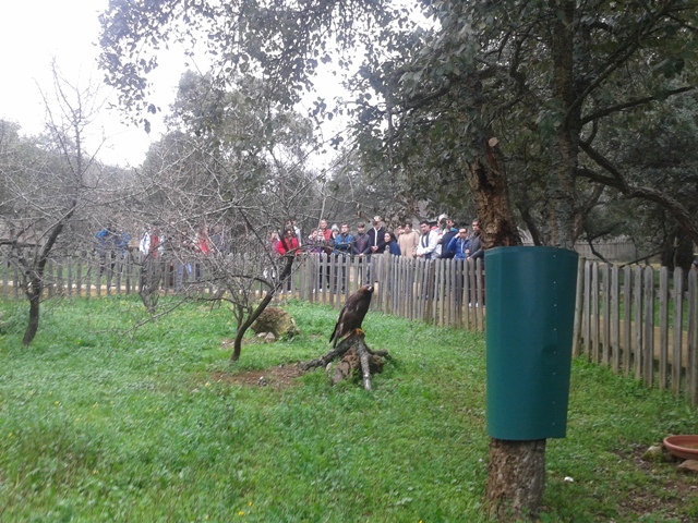 biodiversidadave 82fda