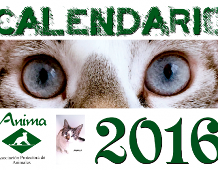 Los gatos, protagonistas del calendario solidario 2016 de ANIMA