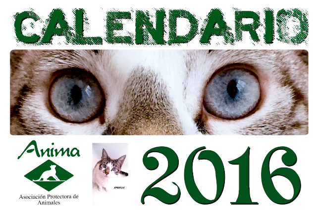 calendario.png