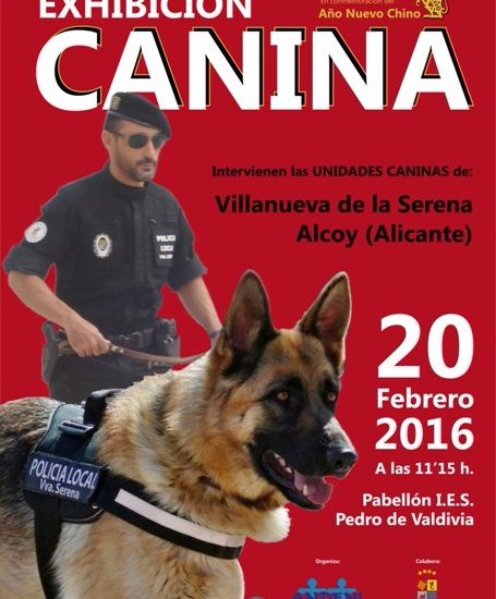 exhibicion_canina.jpg