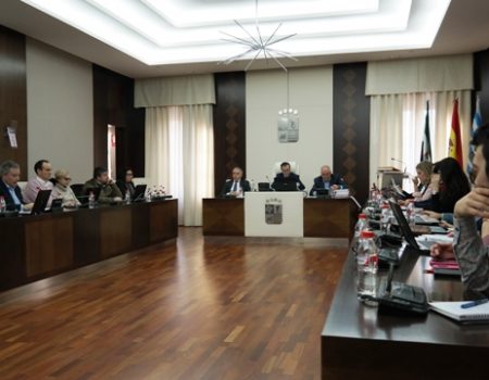 El pleno ordinario celebrado este jueves 25 de febrero aprueba el convenio con Promedio