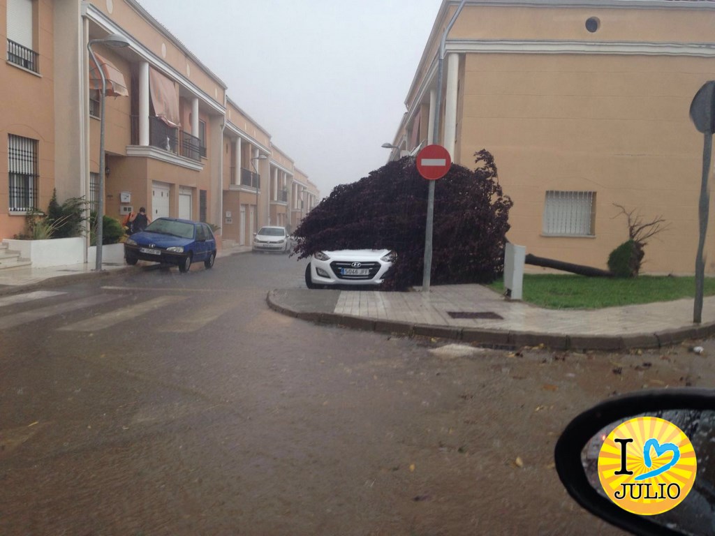 tormentamimosas b62c7