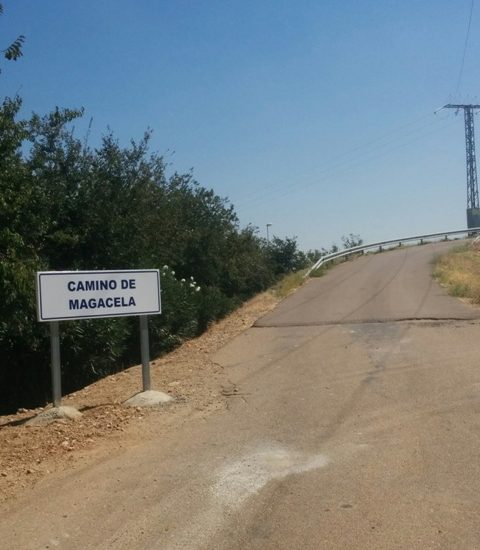 camino-de-magacela.jpg