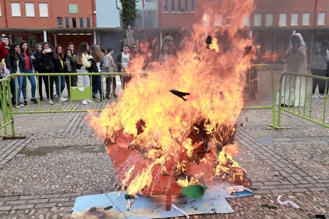 calabazaLlamas 82cf2