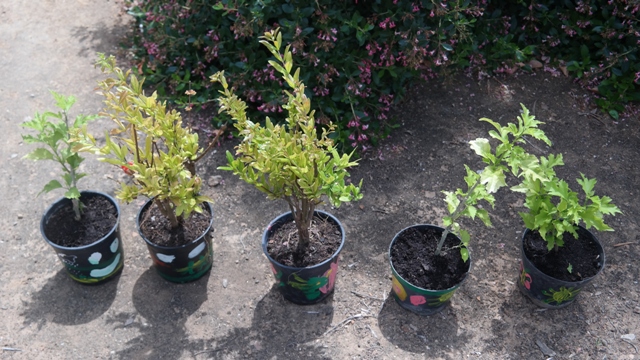 MEDIOAMBIENTE2 2 395ac