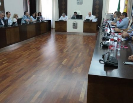 El pleno aprueba la carrera profesional de los empleados públicos que lleven cinco años o más trabajando