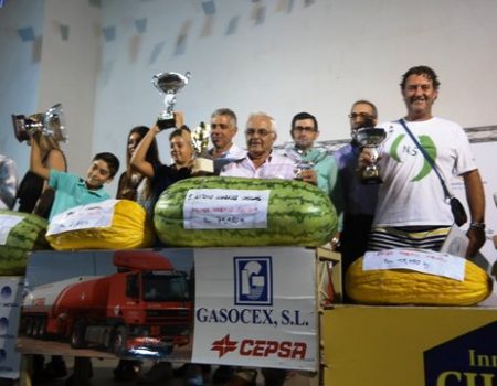Antonio González, una vez más, ganador del concurso de sandía con un ejemplar de 79,950 kilos