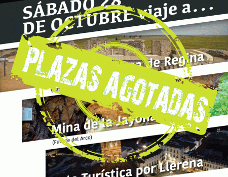 Viaje a la Campiña Sur