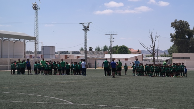 campocespedartificial 3da87