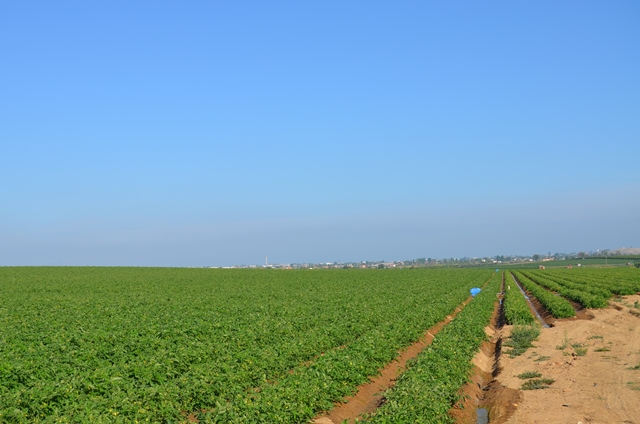 ayudasagricultores f5ad2