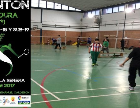 Torneo territorial de bádminton.