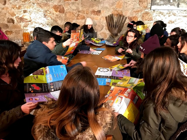 Intercambio francés 1 95c13