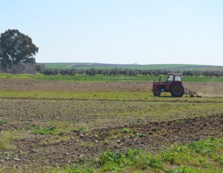 La concejalía de agricultura controla los trabajos de prevención de robos en el campo y transporte de mercancías