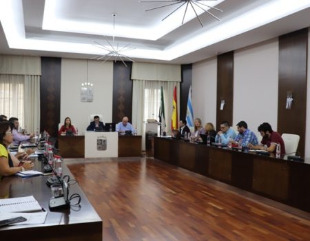 Se celebra un pleno marcado por el carácter económico