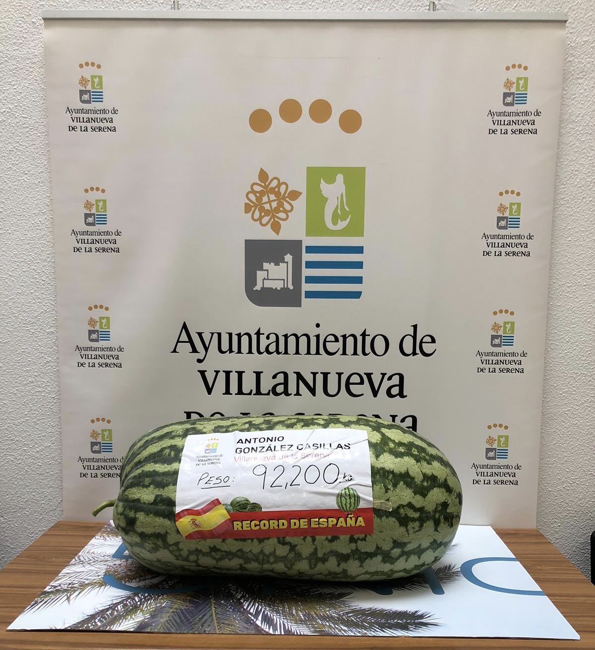 sandía en ayto d80ab