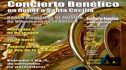 Concierto Benéfico en honor a Santa Cecilia.