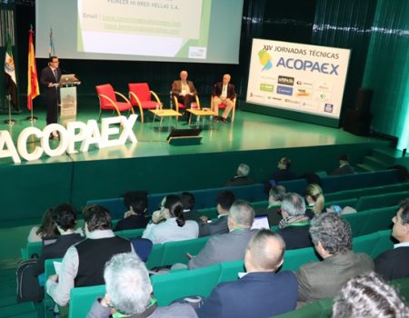 El tomate para industria es el tema principal que abordan las XIV Jornadas Técnicas de ACOPAEX