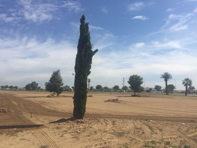 sendaciclableuno 79afb