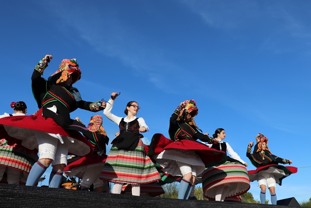 virgenbailedos 15d5a