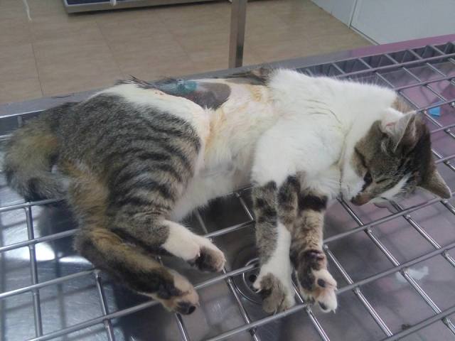 15134824 1316663935019586 6114521631104914701 n 124f5