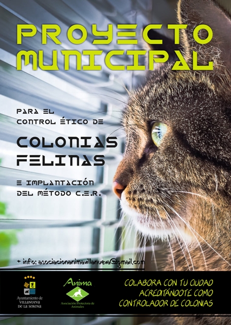 proyecto municipal COLONIAS FELINAS  cartel fd8b5