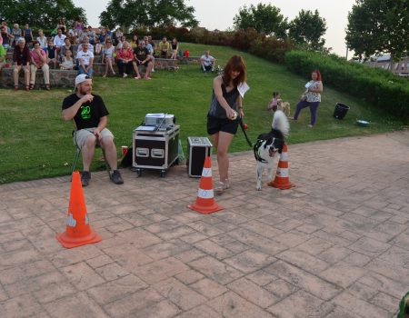 Este sábado 29 la asociación Anima celebra su XII Día de los Animales