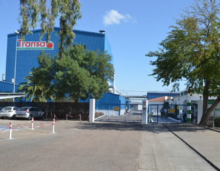 Transa contrata en la campaña 2019 más de 300 millones de kilos de tomate