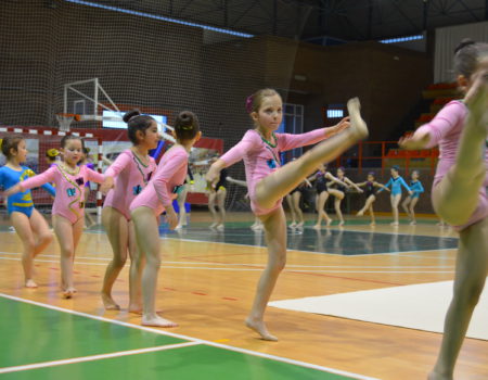 Un total de 26 sorteos se han efectuado para asignar las plazas de las distintas escuelas deportivas de seco que más demanda tienen
