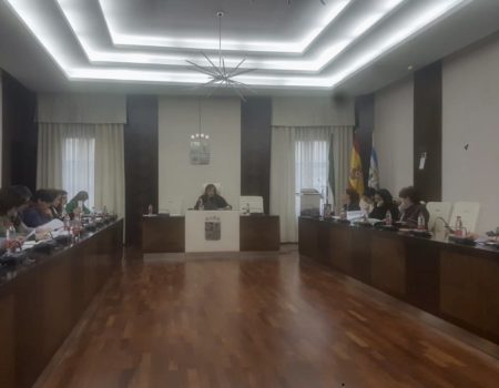 El Consejo Municipal de Igualdad se reúne y aborda las actuaciones en materia de igualdad
