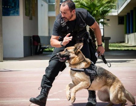 Exhibiciones caninas para hacer más llevadero el confinamiento