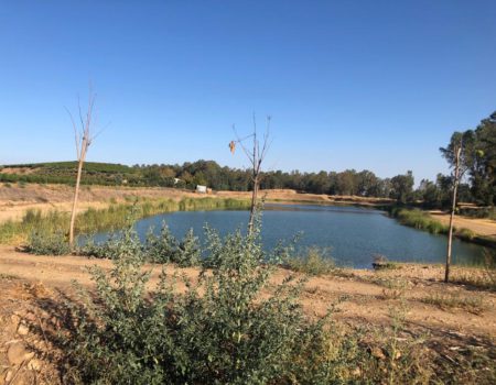 La Junta acondicionará con 63 puestos fijos la Charca de la Encomienda