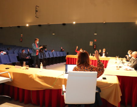 El Pleno acuerda exigir a la Junta de Extremadura el inicio de las obras del hospital comarcal Don Benito-Villanueva
