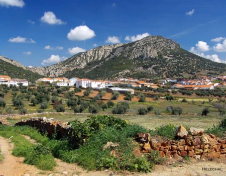 Villanueva de la Serena – Helechal