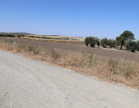 La Junta de Extremadura autoriza la contratación de la obra para la mejora de los caminos de la concentración parcelaria Arroyo del Campo