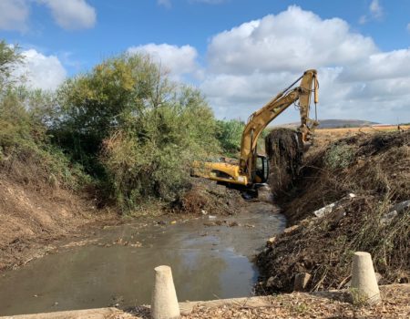 La concejalía de Agricultura realiza tareas de limpieza y refuerzo del cauce del Arroyo del Molar