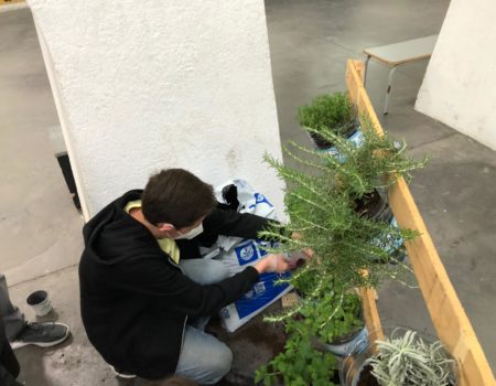 Los integrantes del CAI trabajan en los ODS con la realización de un huerto vertical