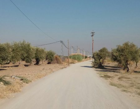 Aprobada la selección de una plaza de guarda rural