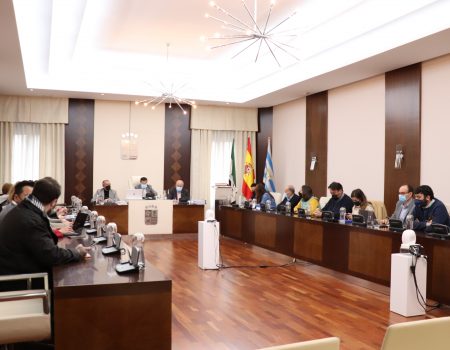 El Pleno aprueba la modificación del impuesto de la plusvalía para adaptarlo a la nueva normativa