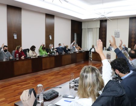 La Corporación ratifica los resultados del 20 F y aprueba la creación de las cinco comisiones para crear el documento de fusión