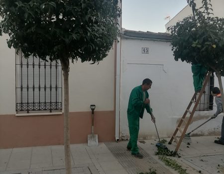 Se abre el plazo de inscripción para 5 cursos enmarcados dentro del programa de formación EDUSI