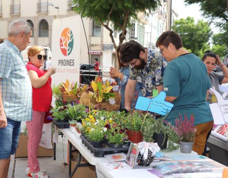 Proines instala una mesa informativa en la plaza de Las Pasaderas para informar sobre salud mental